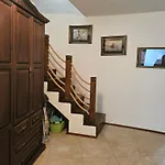 Sineva