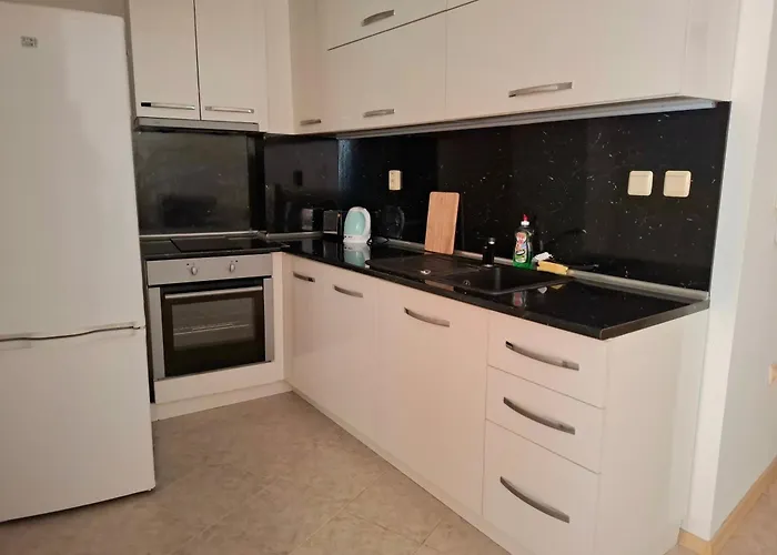 Sineva 公寓 拉夫达